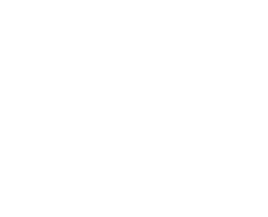 ISO Logo